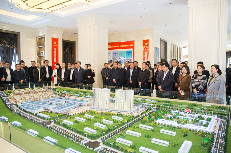 隴南市鄉鎮人大主席觀摩東盛國際商貿物流港